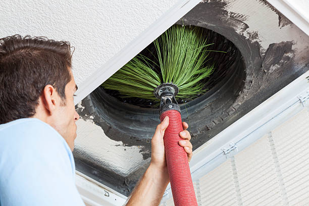 Best Home Air Vent Cleaning  in Linden, TN